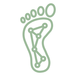 icon reflexologie plantaire